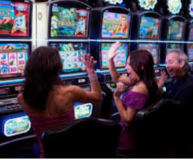 新葡萄(8883·AMG)正式版